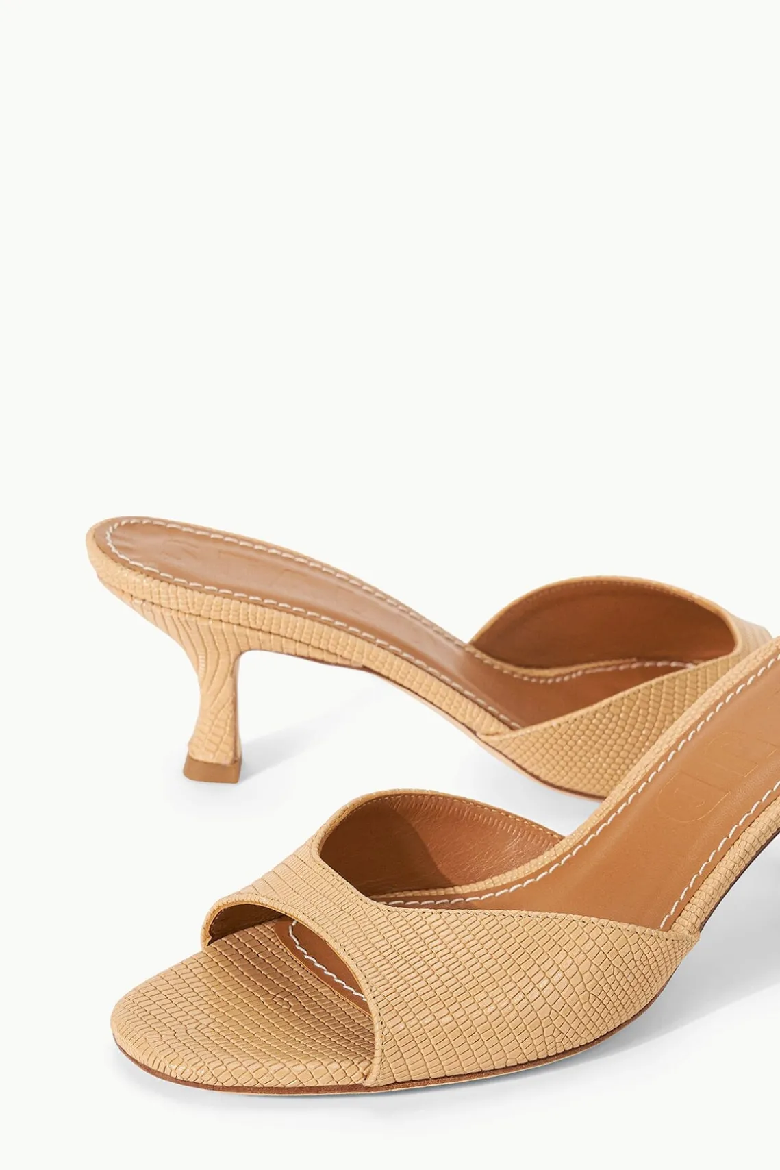 BRIGITTE MULE PORCINI